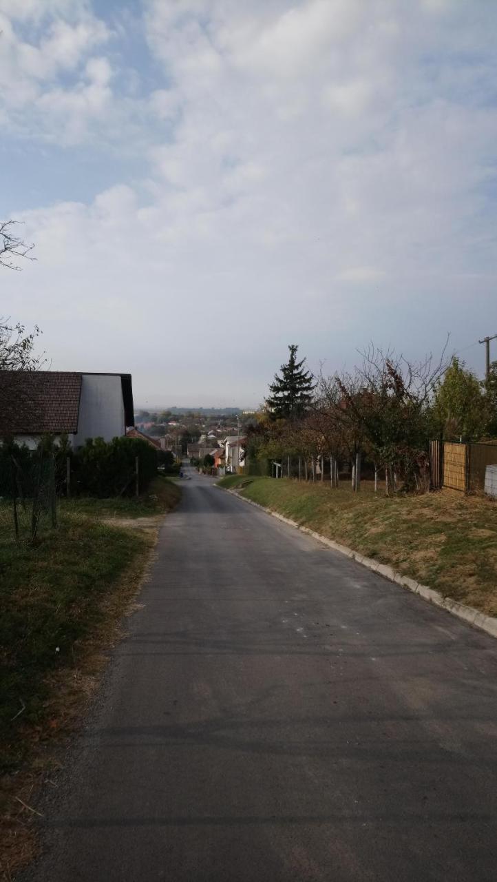 Beli Manastir Studio Apartman Kotro מראה חיצוני תמונה